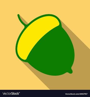 Acorn flat icon nut and food graphics a colorful vector image