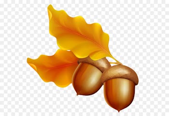 Acorn Leaf Oak Clip art - Transparent Autumn Leaves with Acorns 