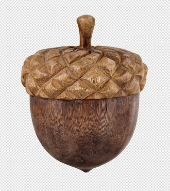 Acorn PNG Free Download
