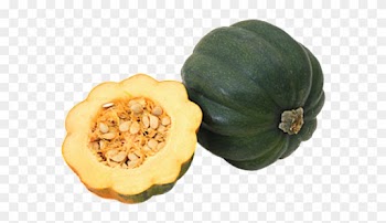 Acorn Squash Png Pic - Png De Frames Transparent Natural