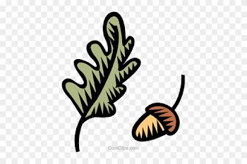 Acorn With Oak Leaf - Oak Leaf