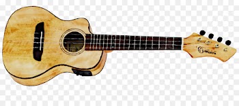 Acoustic guitar Bass guitar PRS Guitars Electric guitar -  