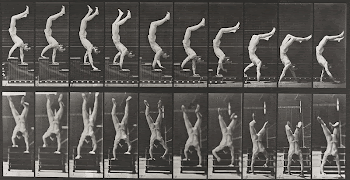 Acrobat descending stairs on hands. | Free Photo - rawpixel