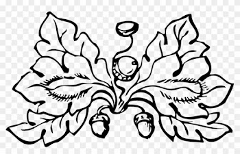 Acrons And Leaves Clipart, Vector Clip Art Online, - White Oak Leaf Vector