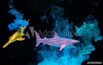 Acryllic color dissolving in water