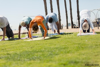 Active seniors practicing yoga on sunny lawn
