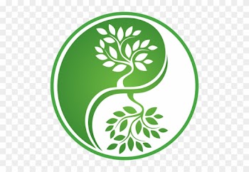 Acupuncture Has Been A Valuable Method Of Addressing - Yin Yang Acupuncture