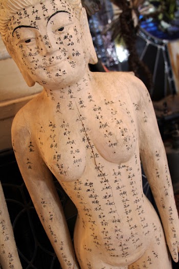 Acupuncture Teaching Aid.jpg