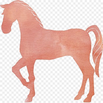 Acupuncture Therapy Medicine Mustang Surgery - akira silhouette 
