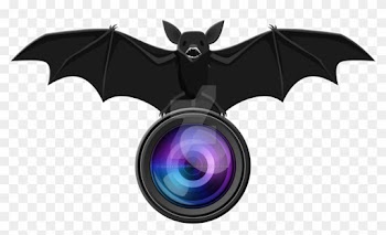 Adaleigh Faith Photography Logo By Adaleighfaith On - Extreme Fliers Micro Drone Camera Module Hd 1280p X