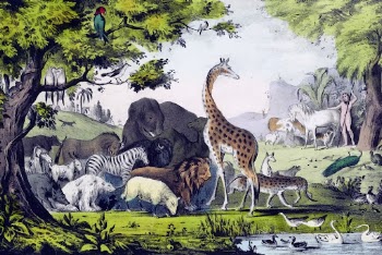 Adam naming animals background, vintage | Free Vector - rawpixel