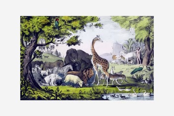 Adam naming animals, vintage illustration. | Free Photo - rawpixel