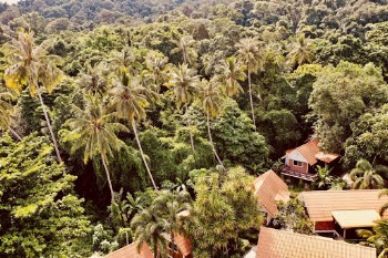 Adang Island Resort is a private and natural paradise on the south side of the island of Koh Adang, Thailand. Located just north of Koh Lipe, you will find breathtaking views of the Southeastern Andaman Sea, an area well known for its beautiful coral. Come stay with us for an ultimate vacation experience.