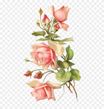 Adesivo, Rosas Inglesas, Flores Vintage, Rosas Cor - Rose