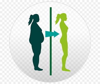 Adipose tissue Weight loss Fat Obesity - fat 