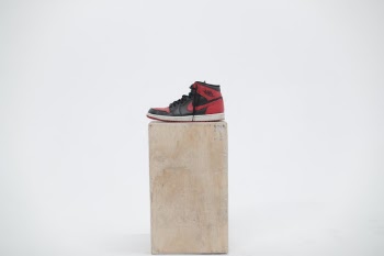 Admiration of the AJ1 BRED