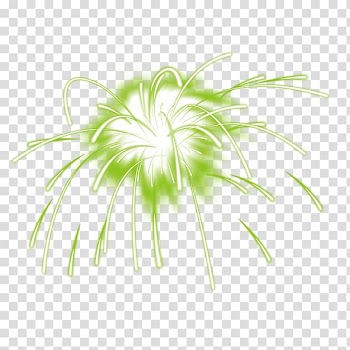 Adobe Fireworks, Fireworks transparent background PNG clipart