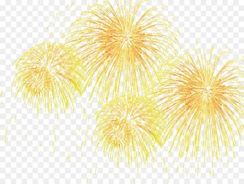 Adobe Fireworks Icon - Fireworks effect 