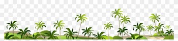 Adobe Illustrator Coco - Coconut Grove Decoration Borders Png