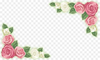 Adobe Illustrator Garden roses - Rose corner flower material 