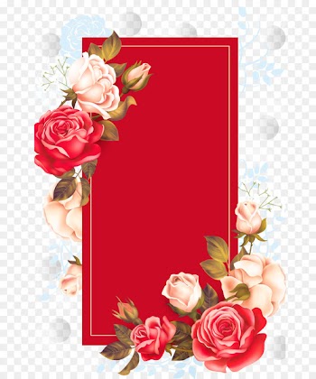 Adobe Illustrator - Red Rose Box 