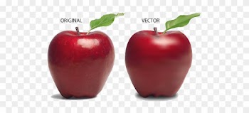 Adobe Illustrator Vector Apple - Advantages Of Raw Food