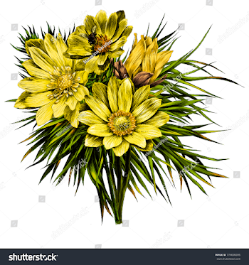 Adonis Flower Branch Sprout Petals Bright Stock Vector (Royalty ...