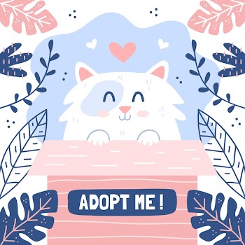 Adopt a pretty kitten in a box Free Vector