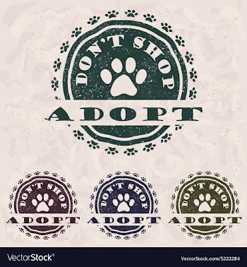 Adopt dont shop vector image