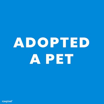 Adopted a pet, self quarantine activity design element | Free  vector - 2316531