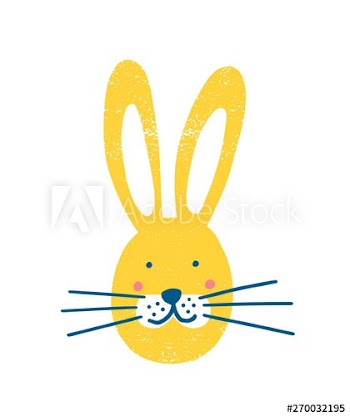 Adorable bunny face isolated on white background