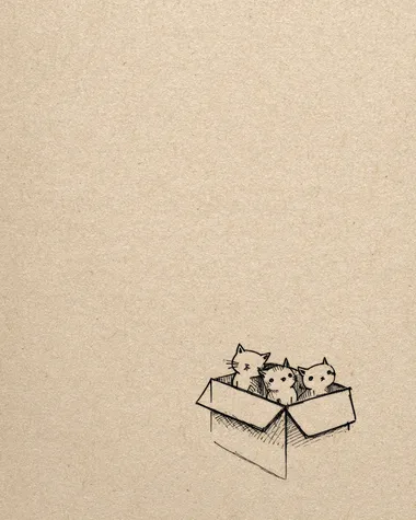 Adorable Cats Peeking from Box Adorable Cats Peeking from Box