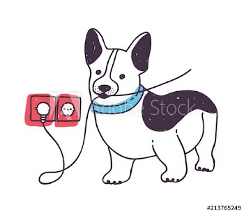 Adorable dog gnawing or eating wires