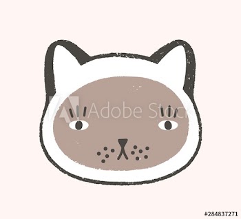 Adorable face of cat