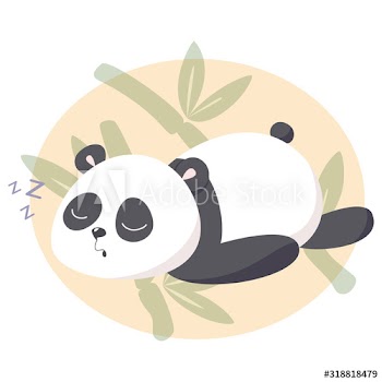 Adorable funny panda asleep