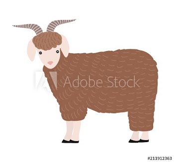Adorable goat isolated on white background