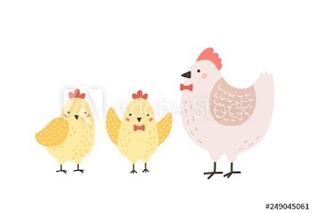 Adorable hen and chicks isolated on white background