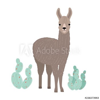 Adorable llama or cria isolated on white background
