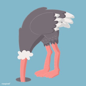 Adorable ostrich graphic | Free stock vector - 44659