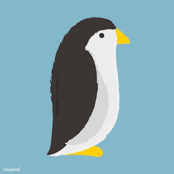 Adorable penguin graphic | Free stock vector - 44800
