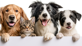 Adorable Pets Peeking Over Blank Banner