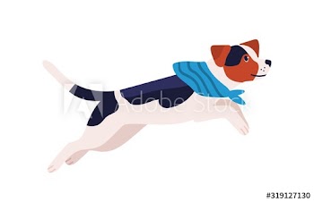 Adorable playful beagle dog breed in scarf isolated on white