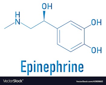adrenaline or adrenalin epinephrine molecule