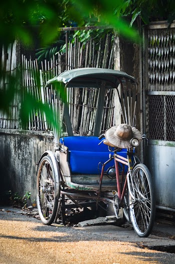 Adult Trike Near Gate
