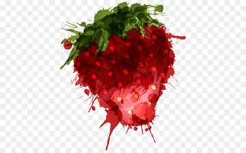 Aedmaasikas Watercolor painting Illustration - Hand-painted strawberry 