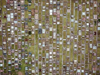aerial hptography of houses