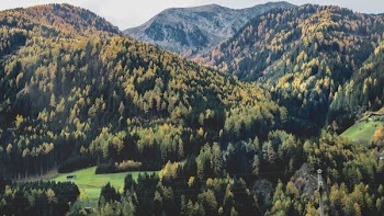 aerial landscape photography of green trees filled mountains under blue calm sky