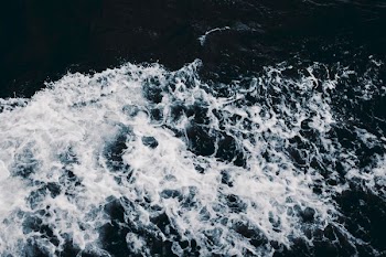 aerial photo body of water