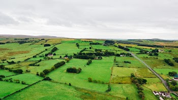 Aerial Photo Of A Field