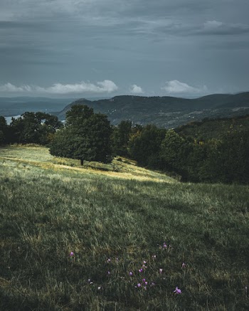 Aerial Photo of A Grassland